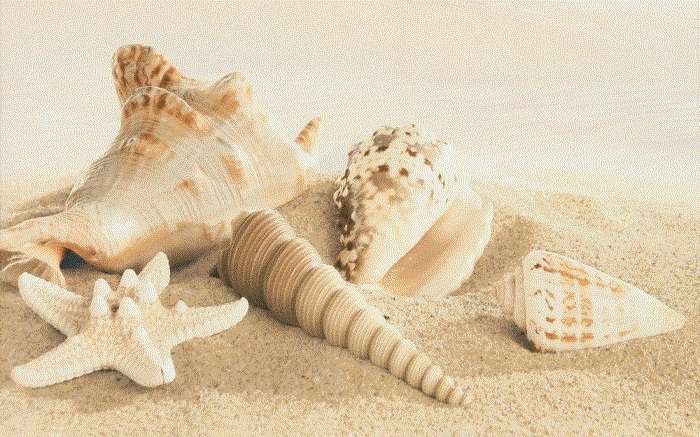    Gracia ceramica  Amalfi sand decor 01 250400  - 13 . 