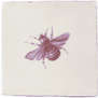    Cevica  Dec. Bumblebee Marron (Crema) 13*13 