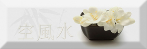 Плитка для ванной Absolut keramika  Decor Japan Tea 04 A декор 30х10 фото