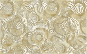  Terracotta  Shell Ammonite 