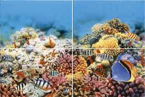  Terracotta  Alba Reef-1 4  